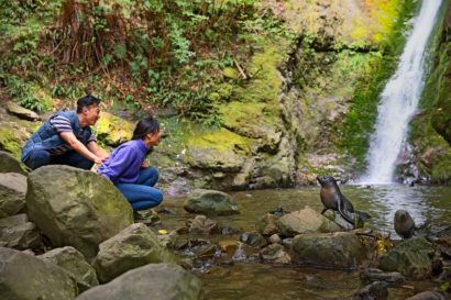 Exklusiv Reise Neuseeland Kia Ora