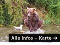 Bear Paws and Inside Passage Urlaub West Kanada Reise