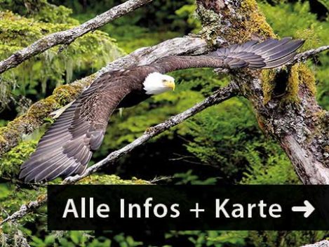 Call of the Wild Abenteuer Reise Kanada Urlaub