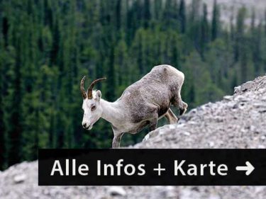 Hike and Travel Reise Kanada Wandern