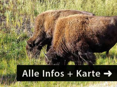 Mietwagen Reise USA Kanada individuell