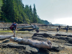 Trekking-Tour West Coast Trail