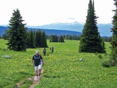 Hüttenwandern in British Columbia