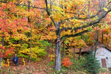 The Indian Summer Tour | Captain Renes Travel