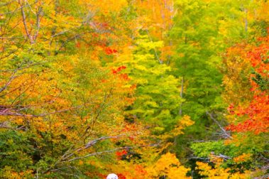 The Indian Summer Tour | Captain Renes Travel