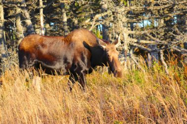 The Indian Summer Tour | Captain Renes Travel