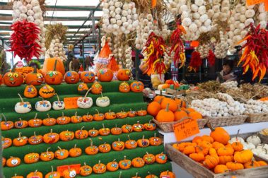 The Indian Summer Tour | Captain Renes Travel