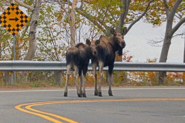 The Indian Summer Tour | Captain Renes Travel