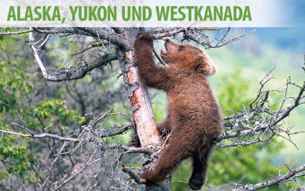 Bären, Indianer und Goldsucher 2020 | Captain René’s Travel Inc.