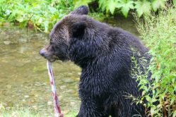 The Best of the West | Captain René’s Travel Inc.