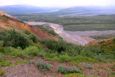 The Last Frontier and Polar Circle