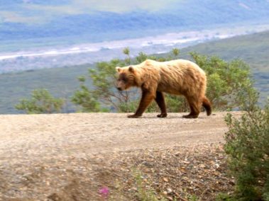The Last Frontier and Polar Circle