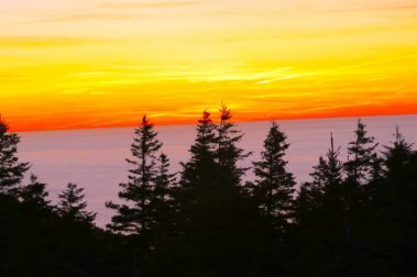 The Indian Summer Tour | Captain Renes Travel