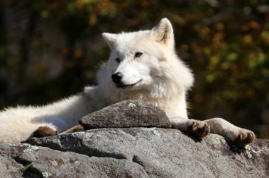 The Indian Summer Tour | Captain Renes Travel