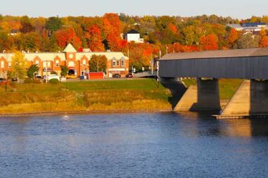 The Indian Summer Tour | Captain Renes Travel