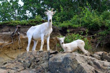 The Last Frontier and Polar Circle