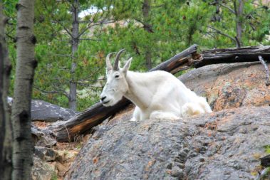 The Last Frontier and Polar Circle