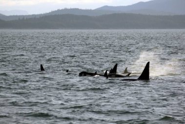 The Last Frontier and Polar Circle