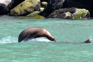 The Last Frontier and Polar Circle