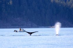 The Best of the West | Captain René’s Travel Inc.