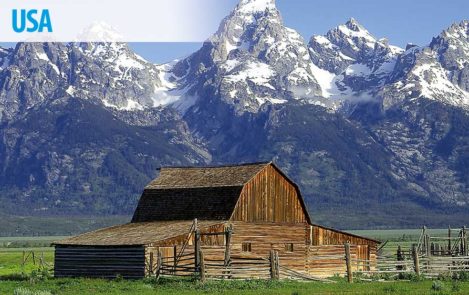 USA: Büffel, Bären und Geysire