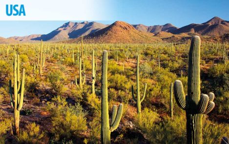 Abenteuer im Südwesten der USA