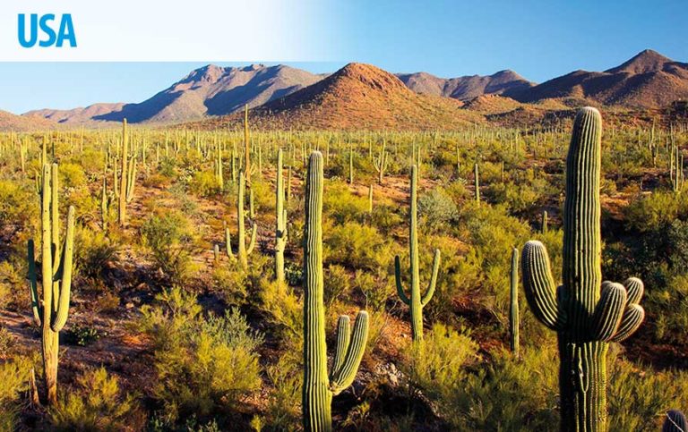 Abenteuer im Südwesten der USA