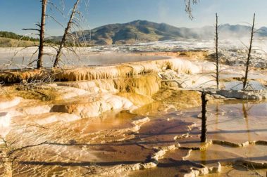 Mammoth Hot Springs Yellowstone